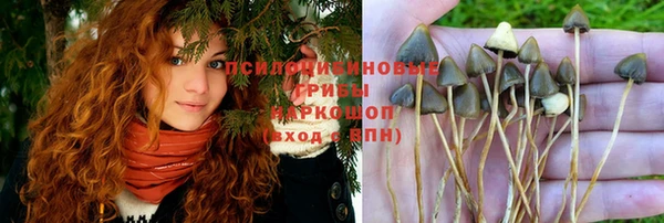спайс Белокуриха